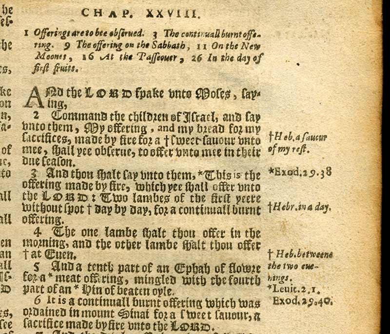 An image of a part of the manuscript.