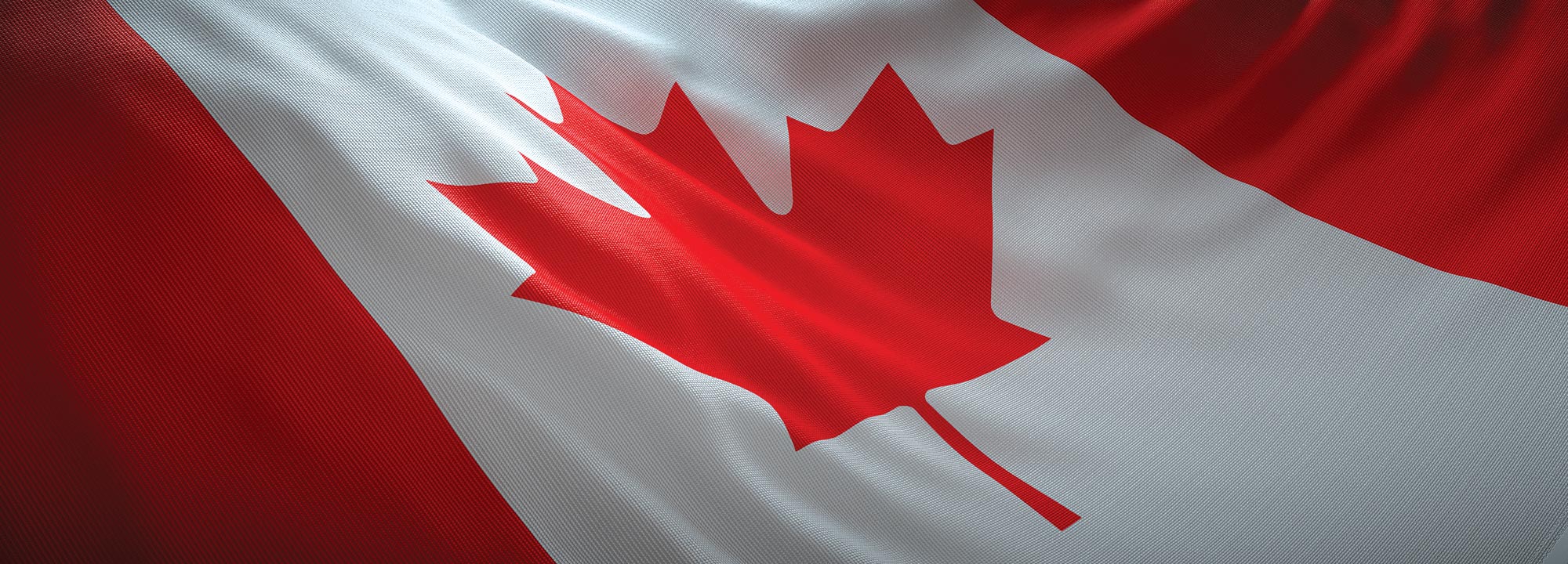 The Canadian flag