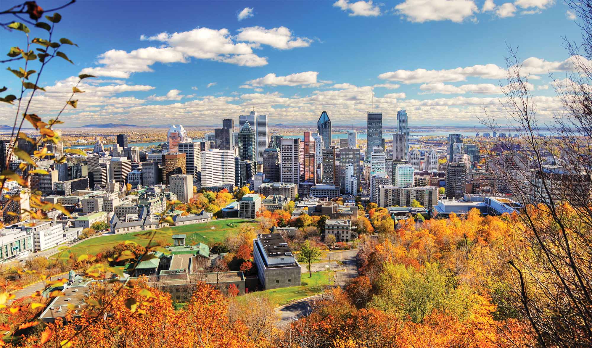 The Montreal skyline on a beautiful day